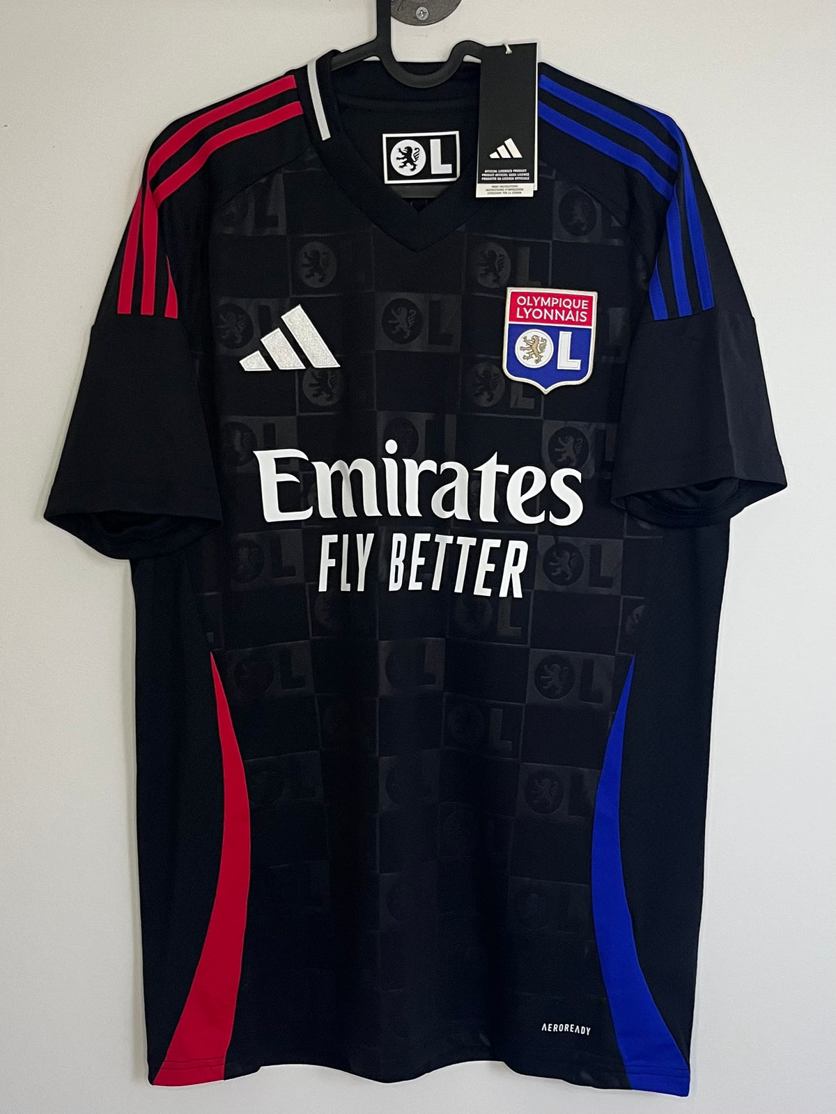 Mikautadze - Lyon 2024/25 ude (M)